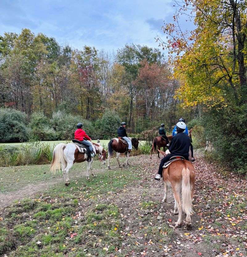Snowy Trails, Hot Cocoa, and Blazing Autumn Color