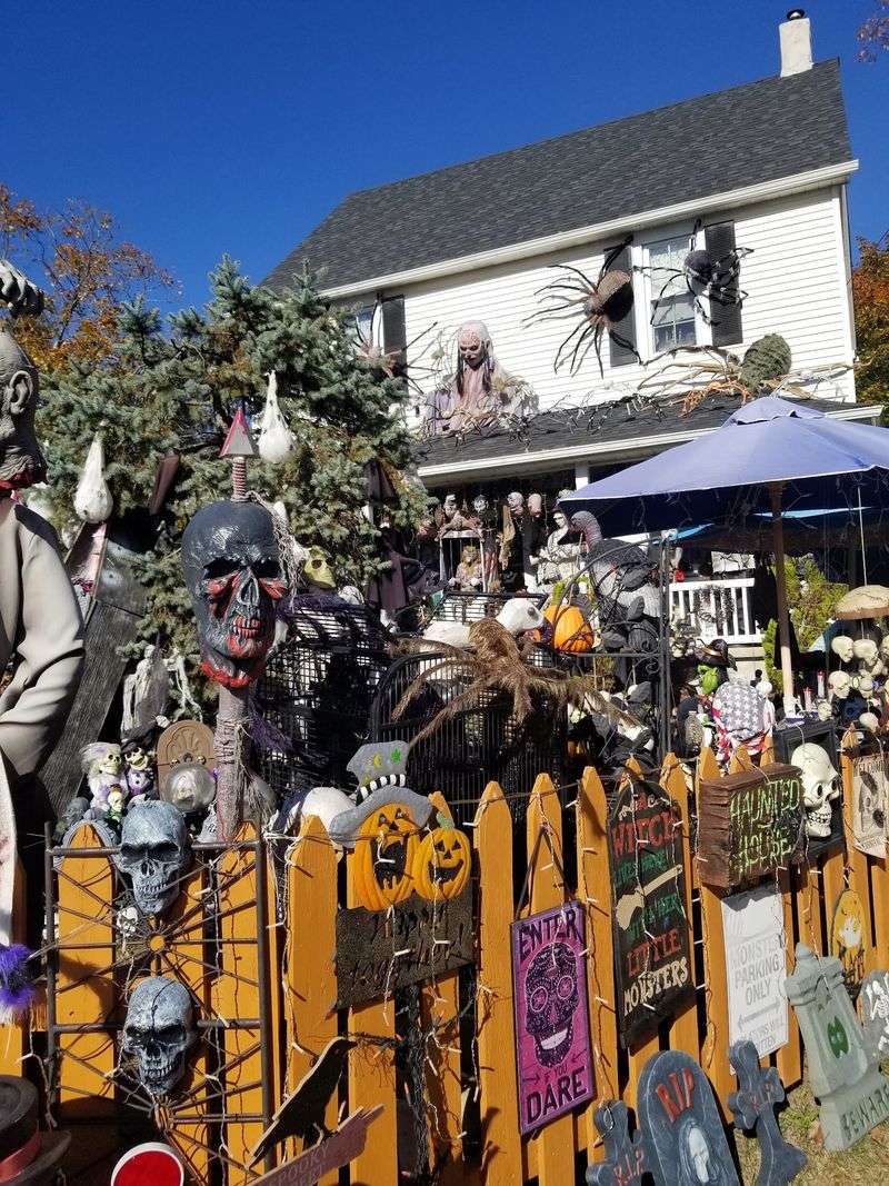 So Many Decorations You'll Lose Count Fast So Many Decorations You'll Lose Count Fast