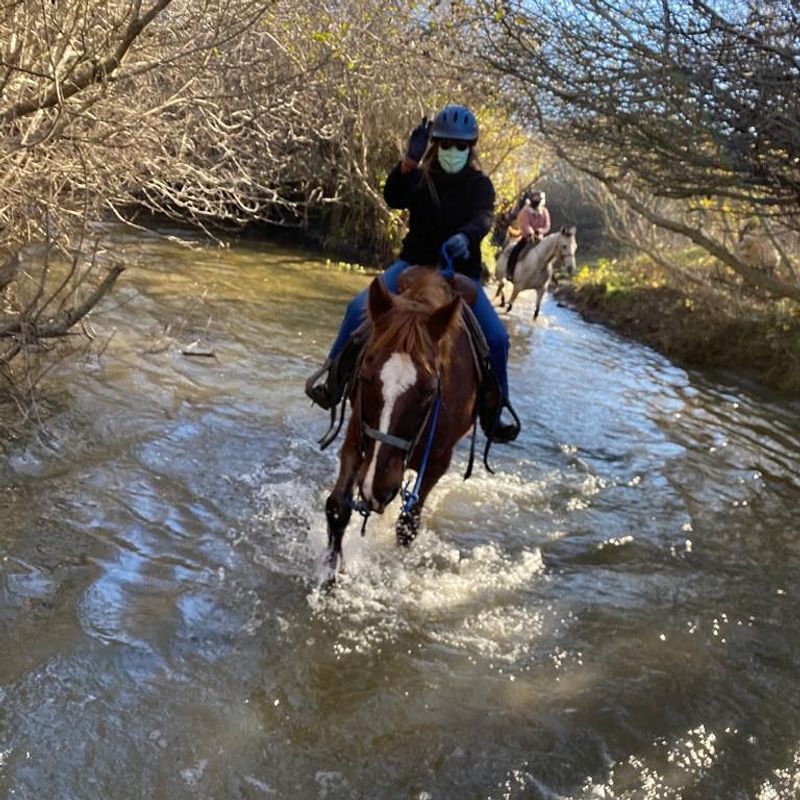 Splashing Through A Creek On Horseback Splashing Through A Creek On Horseback