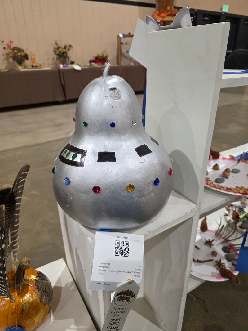Squash Mobiles, Frozen Shirts, And Other Gloriously Odd Contests