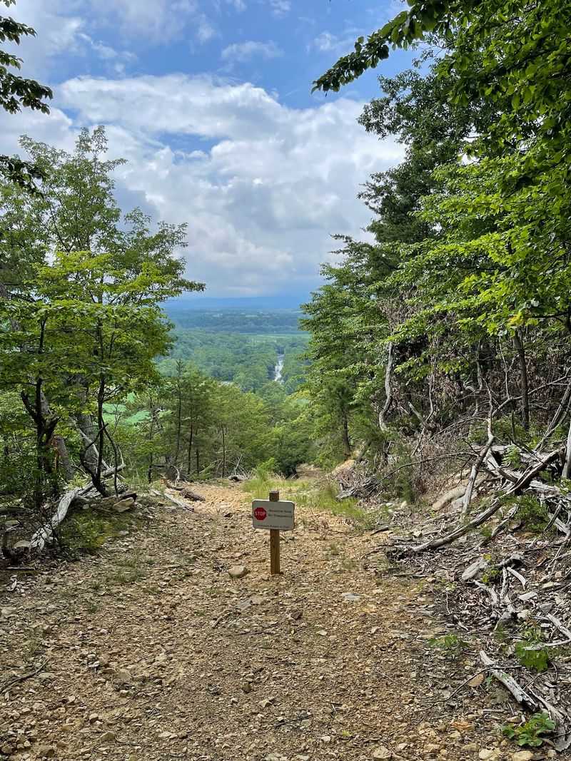 Steep Climbs Up Powell Mountain for the Bold