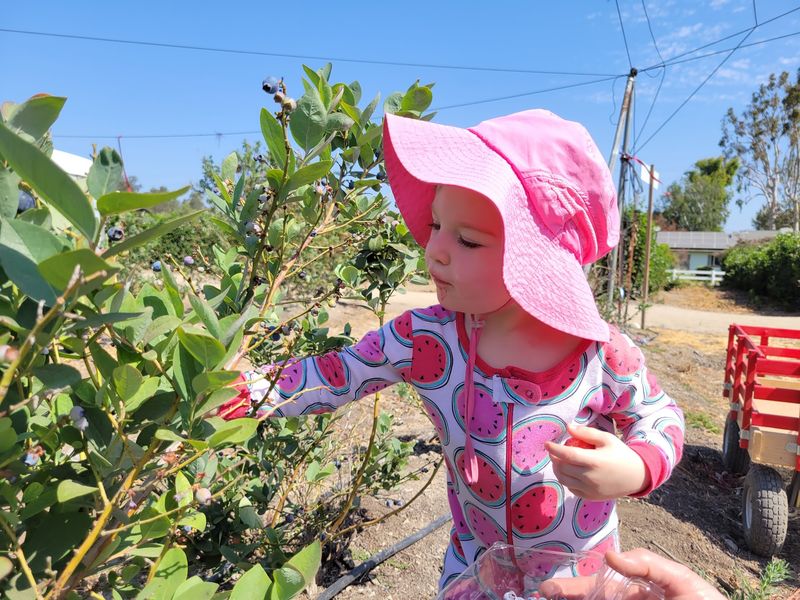Sun Hats, Closed Shoes, And Other Field Smarts