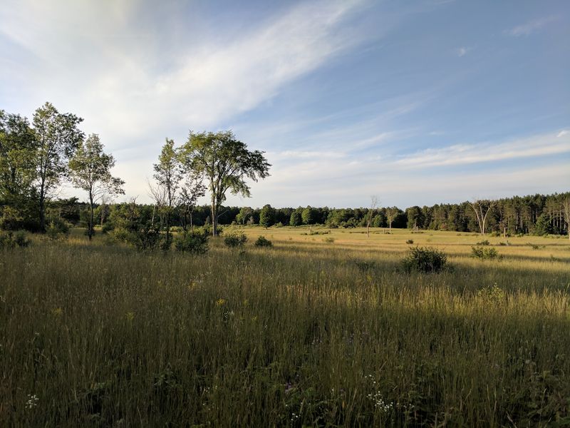 That Spine-Tingling Sound Rolling Across The Meadows That Spine-Tingling Sound Rolling Across The Meadows