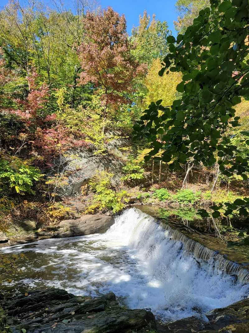 The Bronx River And Its Surprisingly Charming Waterfall The Bronx River And Its Surprisingly Charming Waterfall