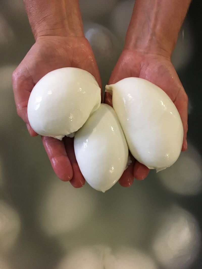 The Butterfat Secret Behind That Silky Mozzarella