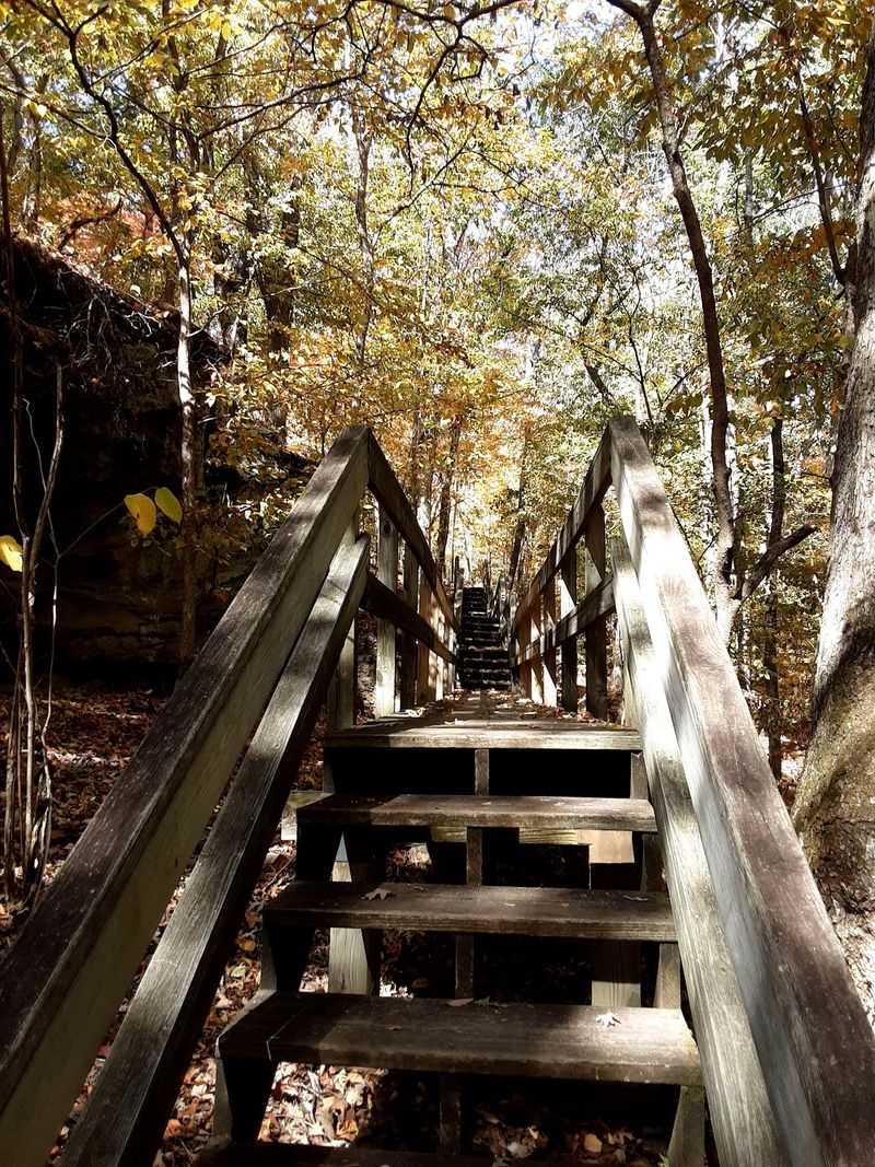 The Climb Up From the Parking Lot The Climb Up From the Parking Lot