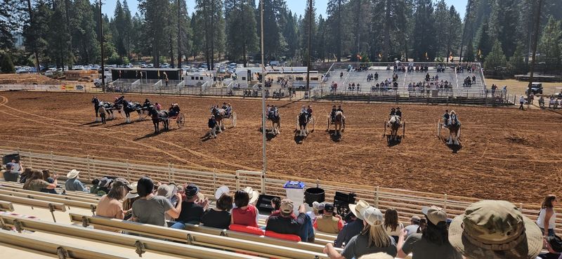 The Draft Horse Classic And A Packed Event Calendar