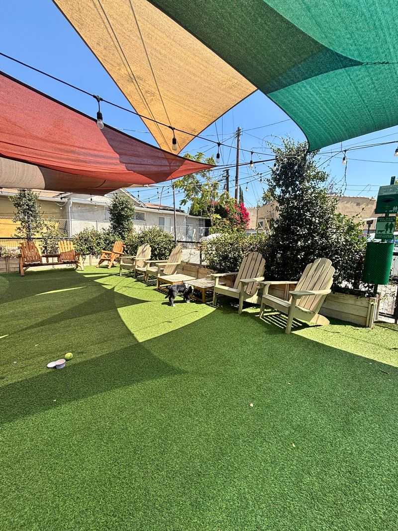 The Fenced Play Space Your Dog Will Pull You Toward The Fenced Play Space Your Dog Will Pull You Toward