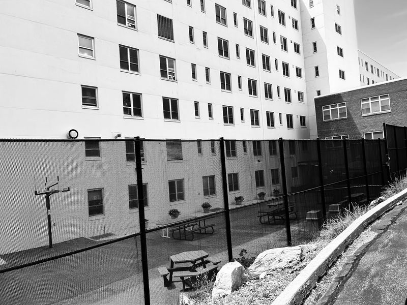 The Fresh-Air Cure Era That Filled Every Ward