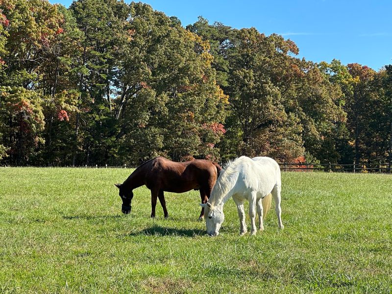 The Ranch At Red Oak