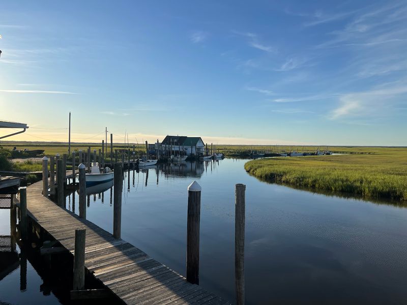 The Road Runs Out, and a Seafood Shack Takes Over The Road Runs Out, and a Seafood Shack Takes Over