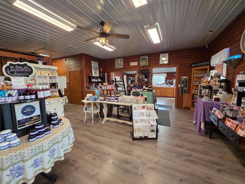 The Shop Where Walking Out Empty-Handed Feels Nearly Impossible The Shop Where Walking Out Empty-Handed Feels Nearly Impossible