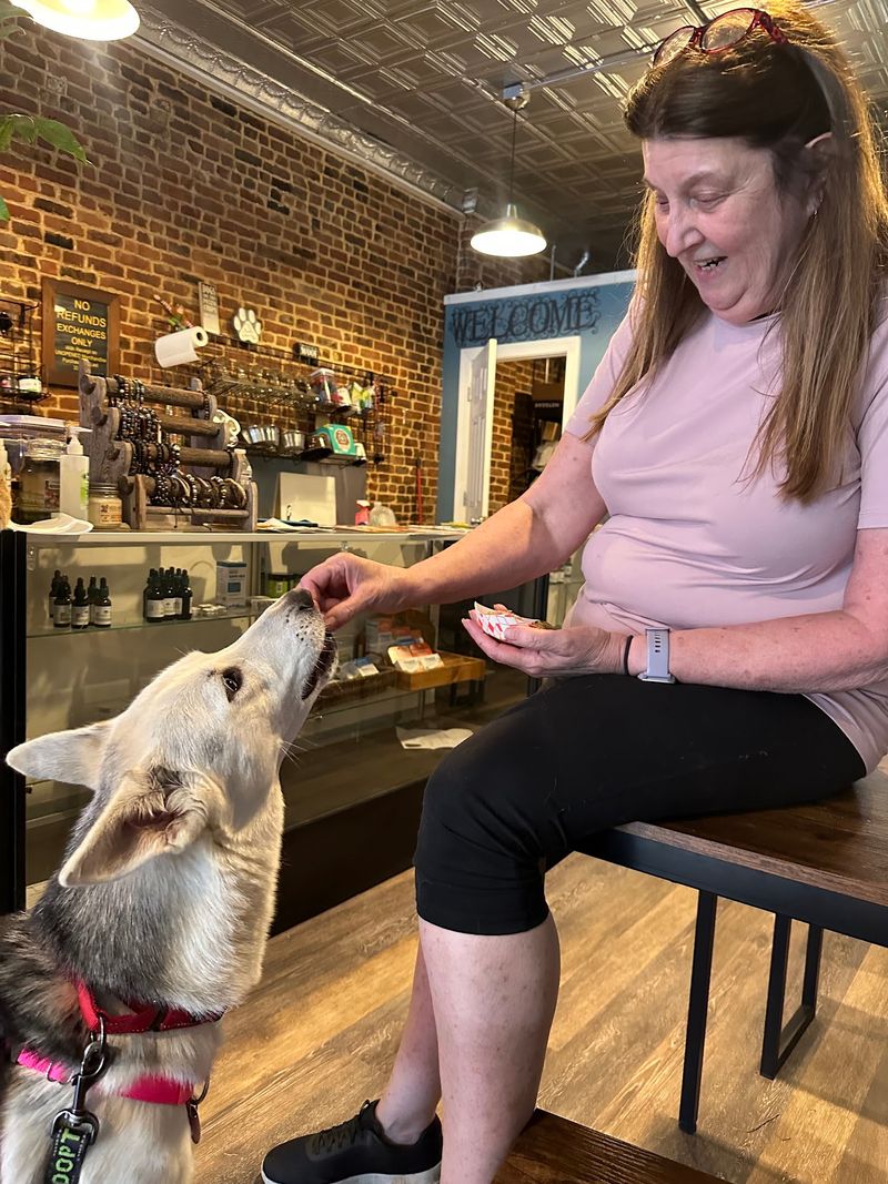 Thirty Years Of Rescue Behind One Cozy Shop Thirty Years Of Rescue Behind One Cozy Shop