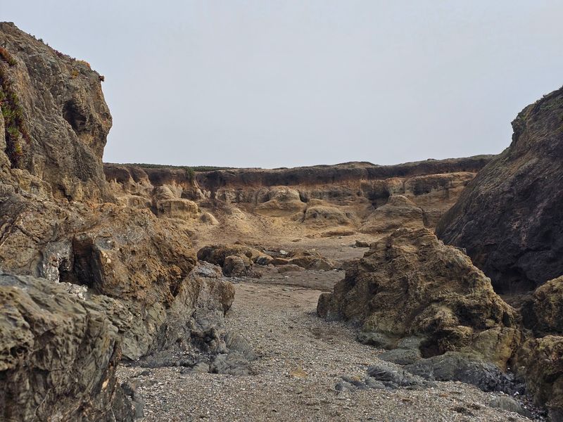 Three Old Dump Sites, Three Different Coves Three Old Dump Sites, Three Different Coves