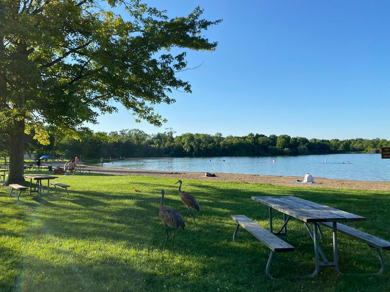 Three Swimming Spots, Each With Its Own Personality