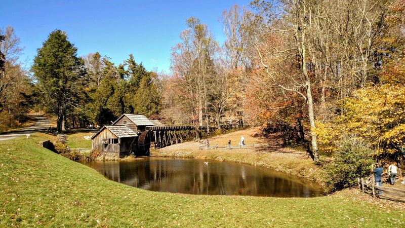 Timing Your Trip For Peak Leaves And Open Doors