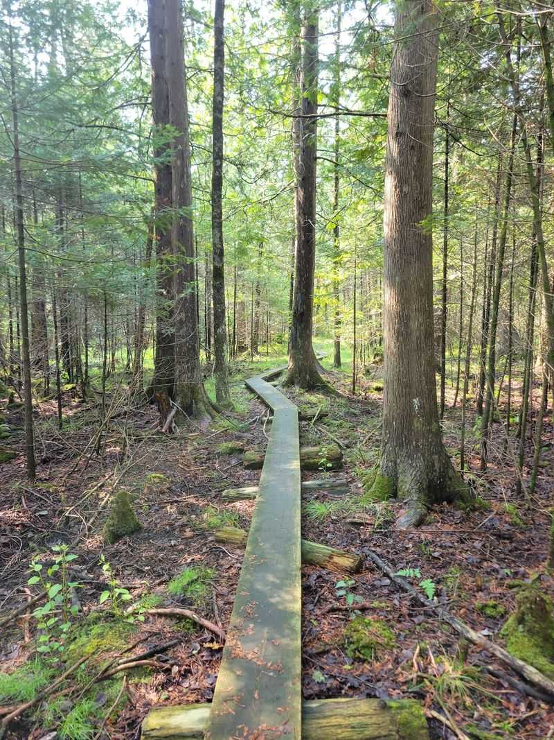 Trails, Turquoise Water, And Shingle Mill Pathway Miles Trails, Turquoise Water, And Shingle Mill Pathway Miles