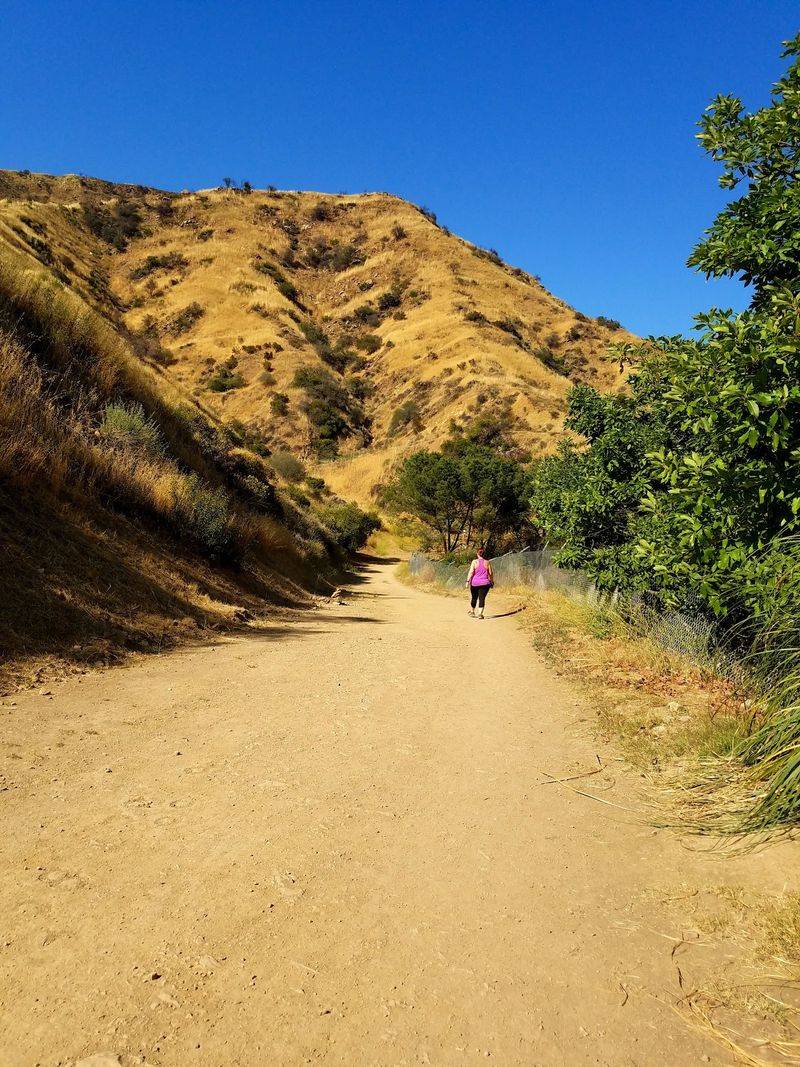 Trails Up Into Los Padres Make The Valley Feel Even Smaller Trails Up Into Los Padres Make The Valley Feel Even Smaller