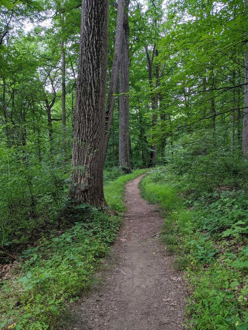 Twenty-Seven Miles Of Trail For Every Kind Of Walker