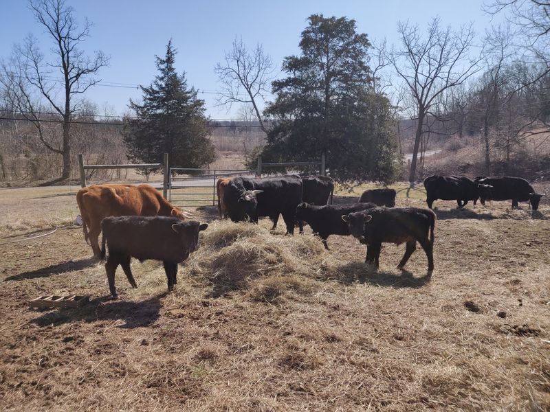 Two Founders With A Big Idea About Small Farming Two Founders With A Big Idea About Small Farming