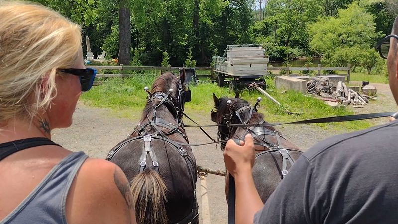 Wagon Rides For Keeping Your Feet Low Wagon Rides For Keeping Your Feet Low