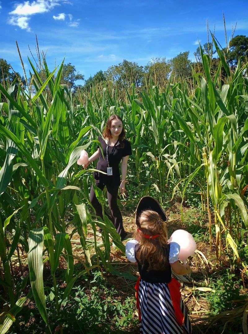 Wander the Free Corn Maze Without Getting Truly Lost