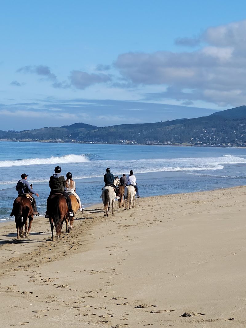 Waves Rolling In Right Beside Your Stirrups Waves Rolling In Right Beside Your Stirrups
