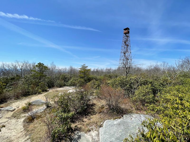 Who Will Love This Mountaintop Playground Who Will Love This Mountaintop Playground