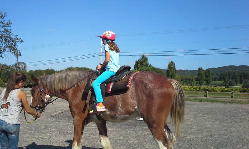 Why First-Time Riders Feel At Ease Why First-Time Riders Feel At Ease