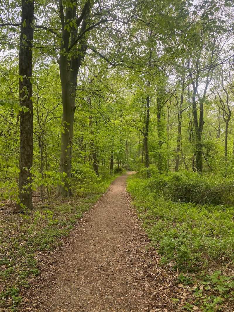 Why This Free Green Tunnel Deserves A Spot On Your Weekend List Why This Free Green Tunnel Deserves A Spot On Your Weekend List