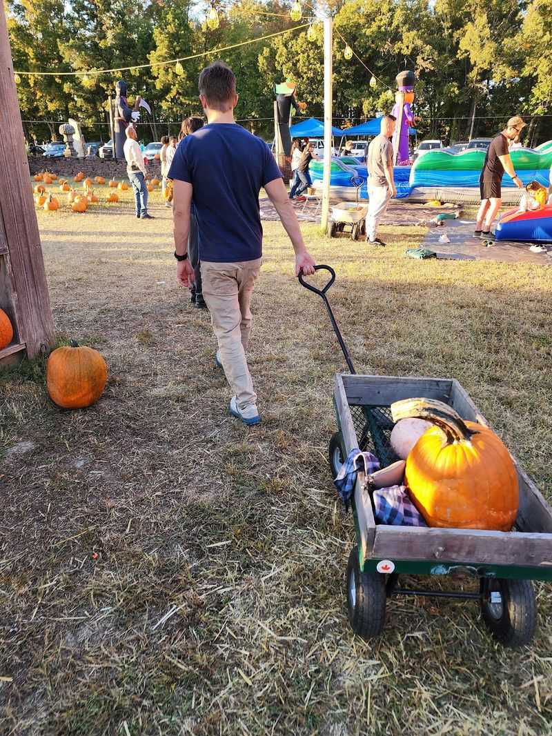 Why This Little Patch Belongs on Your Fall Bucket List