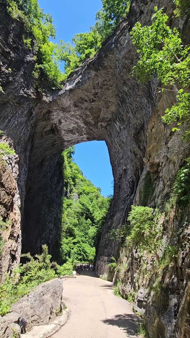 Why This Old Arch Still Deserves a Spot on Your Calendar Why This Old Arch Still Deserves a Spot on Your Calendar