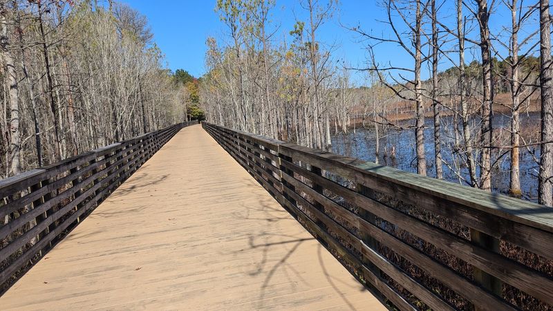 Wooden Bridges and an Osprey Show Wooden Bridges and an Osprey Show