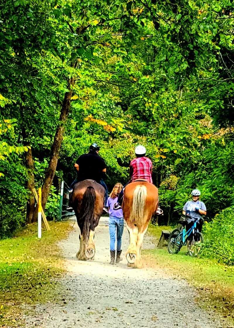 Worth Every Hoofbeat For A New Jersey Day Trip Worth Every Hoofbeat For A New Jersey Day Trip