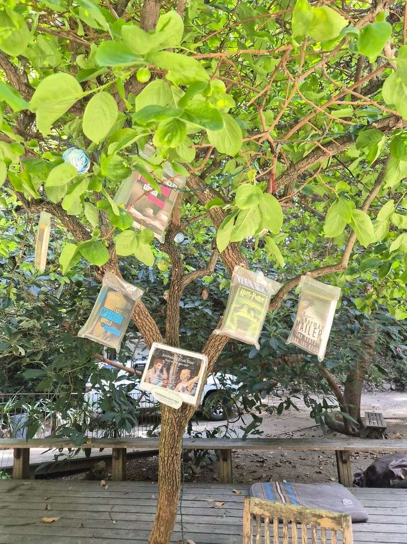 Yes, Those Books Really Are Hanging From The Branches