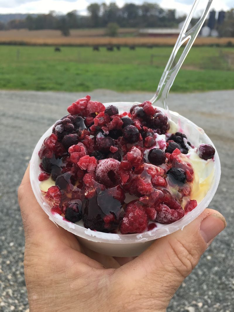 Yogurt, Lassi, And Labneh Steal Plenty Of Attention