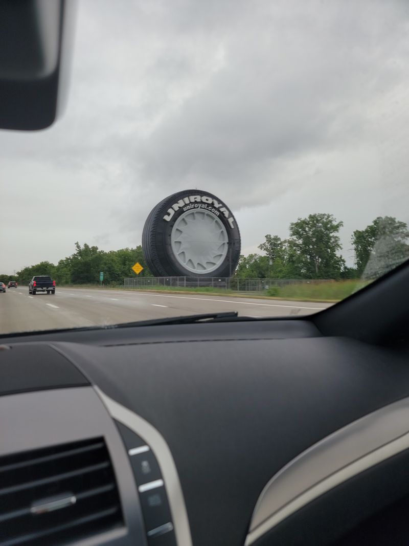 Your Best View Comes From The Passenger Seat