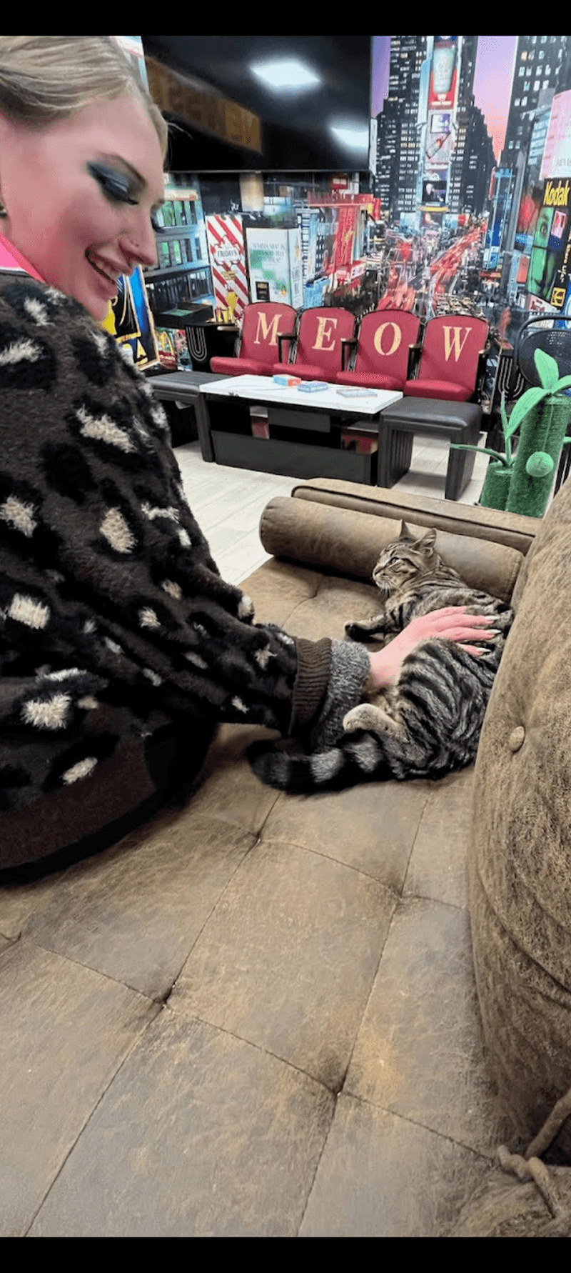 Your New Favorite Spot to Unwind With Whiskers
