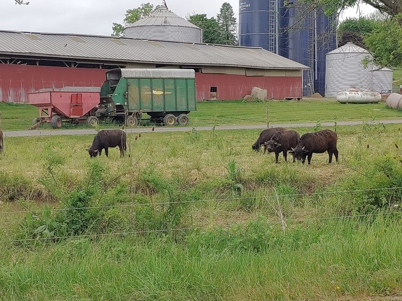 Your Weekday Road Trip Plan For The Farm Store