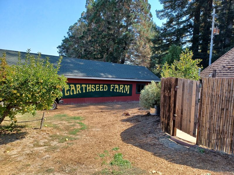 This California Farm Lets You Pick Late-Season Apples And Pumpkins Straight Off The Vine Into November