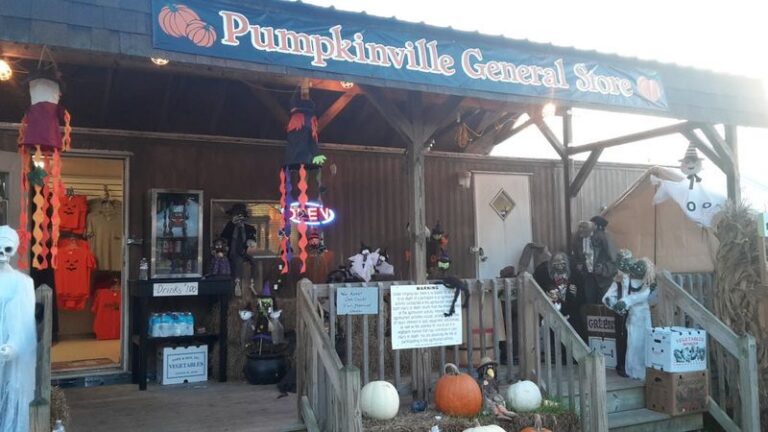 Hundreds of Pumpkins Glow Along the Path at Virginia’s Pumpkinville in the Shenandoah Valley Every Fall