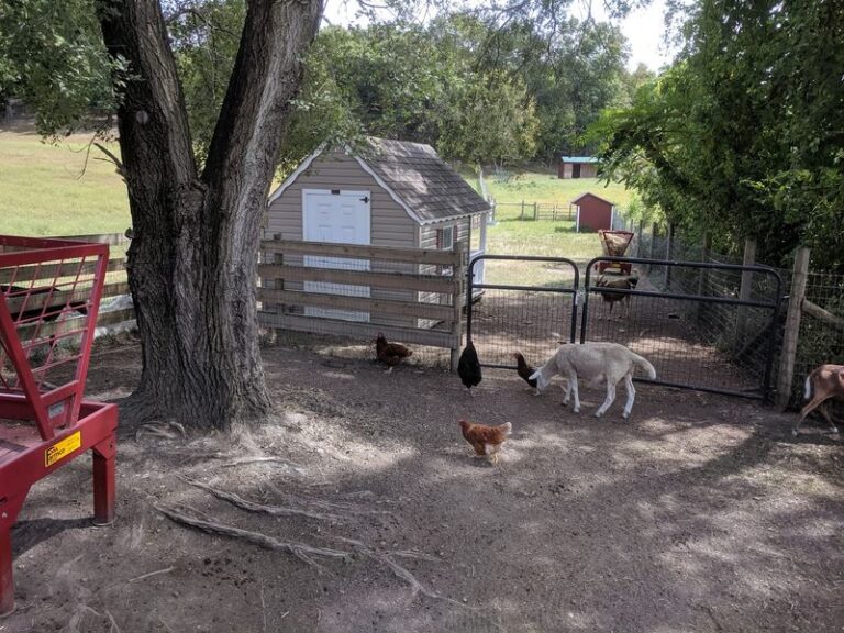 This New Jersey Sanctuary Is Where Hundreds Of Rescued Farm Animals Finally Got Their Second Chance