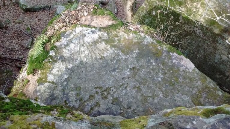 Climb This Short Southern Illinois Bluff Trail To Find Rock Carvings Left 1,000 Years Ago