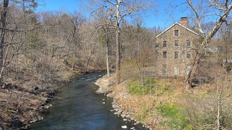 This New York Forest Lets You Walk Beneath Trees That Were Already Standing 400 Years Ago