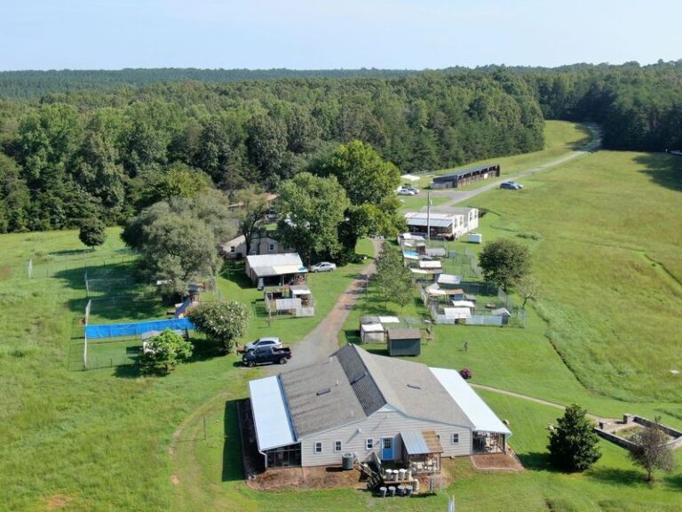 This Virginia Cat Sanctuary Lets Rescued Cats Roam 157 Acres Instead of Living in Cages