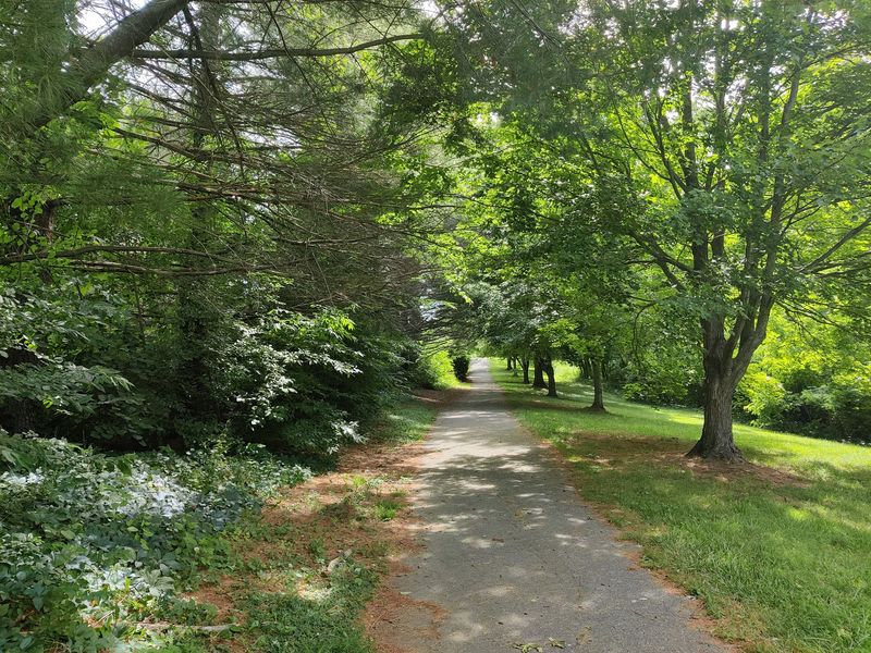 This Old Virginia Railroad Line Is Becoming a 49-Mile Trail Through Forgotten History