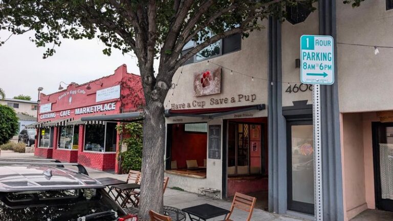 This California Coffee Shop Gives Your Pup Its Own Fenced Dog Park While You Sip – And Gives Back Too