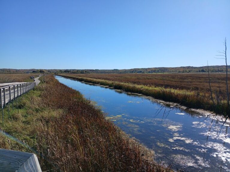 This Free Michigan Boardwalk Carries You Deep Into A Rare Coastal Marsh Most Hikers Drive Right Past