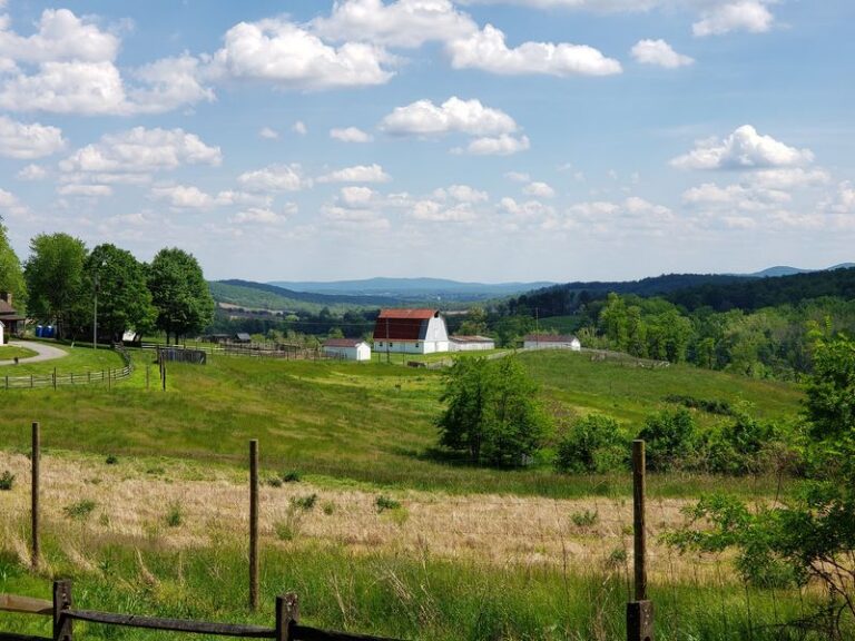 A Generous Virginia Family Gave Away 1,100 Acres of Farmland, and Now It’s a Park Anyone Can Wander