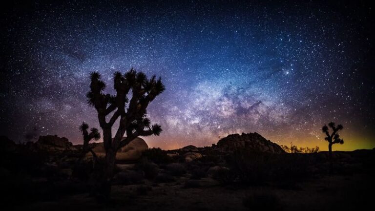 These 7 California Dark-Sky Parks Turn Long Fall Nights Into The State’s Best Free Star Shows